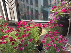 -瓦库茶馆17号(海汇港店)