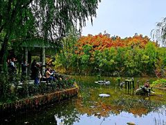 -新江湾城公园