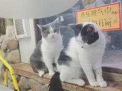 -猫街麻糍哥(思明南路店)