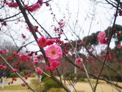 -黄陂区野村谷景区