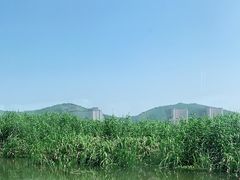 -长兴太湖图影湿地文化园