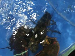 -清水湾3号(东方小周海鲜店)