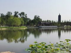 -西海子公园