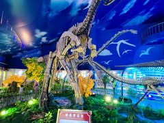 -诸城市恐龙博物馆