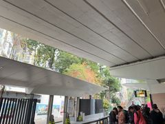 -山顶缆车