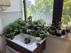 -泰坤堂东馆中西医结合门诊部(塘桥店)