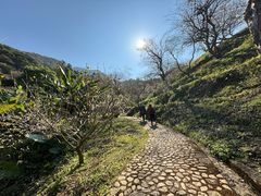 -广州市石门国家森林公园
