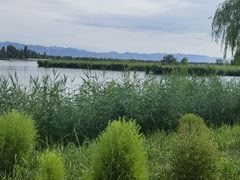 -野鸭湖国家湿地公园