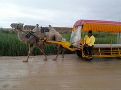 -水洞沟旅游区