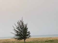 -白沙门生态公园