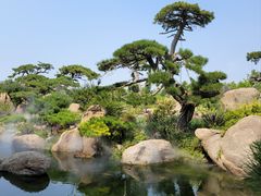 -罗红摄影艺术馆