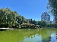 -团结湖公园