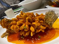 松鼠桂鱼-峨嵋酒家总店(车公庄店)