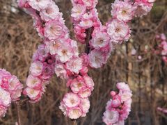 -朝阳公园