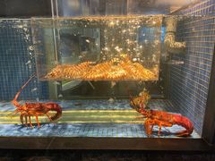 -荣轩(新荣记环球金融中心店)