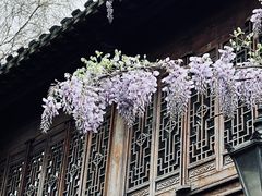 -老门东历史文化街区