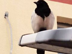 -七里庄(地铁站)