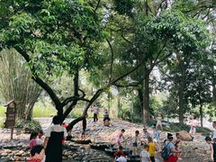 -成都市活水公园