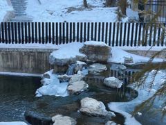 -白水寺森林公园