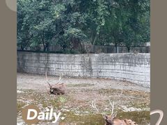 -成都动物园