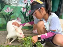 -西霞口神雕山野生动物世界