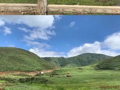 -乌蒙大草原