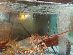 -阿伟海鲜楼·福建菜(延寿店)