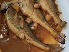 -食神鱼头佛跳墙(百子湾旗舰店)