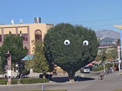 -特克斯八卦城