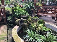 -青城甲(青城山店)