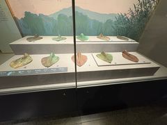 -昆明市博物馆(昆明市文物保护和考古研究中心)