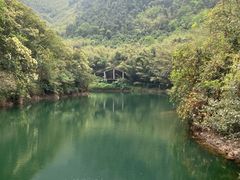-紫云谷景区