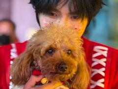 -华谊兄弟（长沙）电影小镇