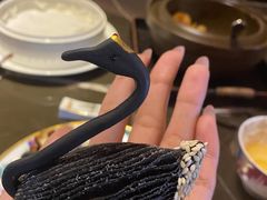 -海派悦庭·海胆烧麦·新融合菜(凯德广场店)