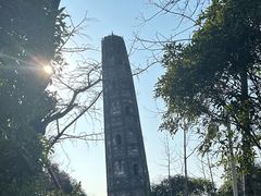 -上海佘山国家森林公园天马山园