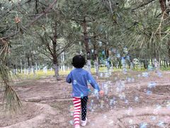 -大兴滨河森林公园