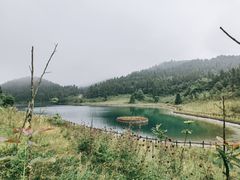 -武陵山森林公园