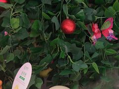 -福禧荟·海鲜自助