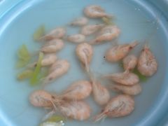 -美味之家·湖景农家乐(太湖东山店)