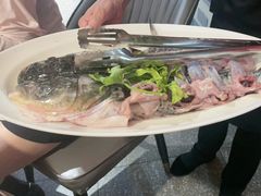 -蜀滋香鲜鱼美蛙火锅(339店)