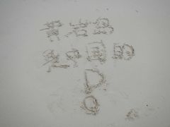 -白沙滩