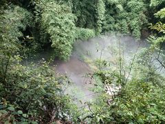 -川西竹海景区