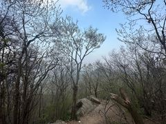 -紫金山山顶公园