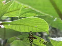-黄金沟旅游风景区