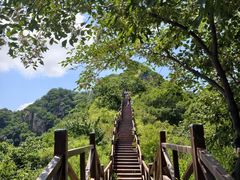 -大岭沟猕猴桃谷风景区