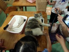 -藦茜花园宠物主题亲子互动体验馆(国顺东路店)