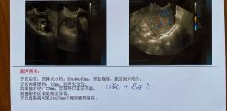 -大连新百佳妇儿医院