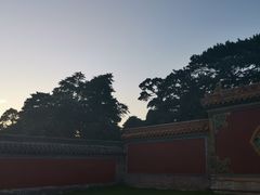 -北陵公园
