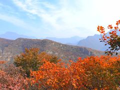 -周口店坡峰岭风景区