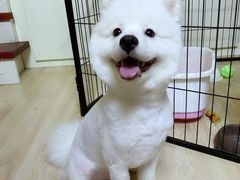 -芭比堂动物医院·犬猫全科·异宠专科(雁塔分院)
